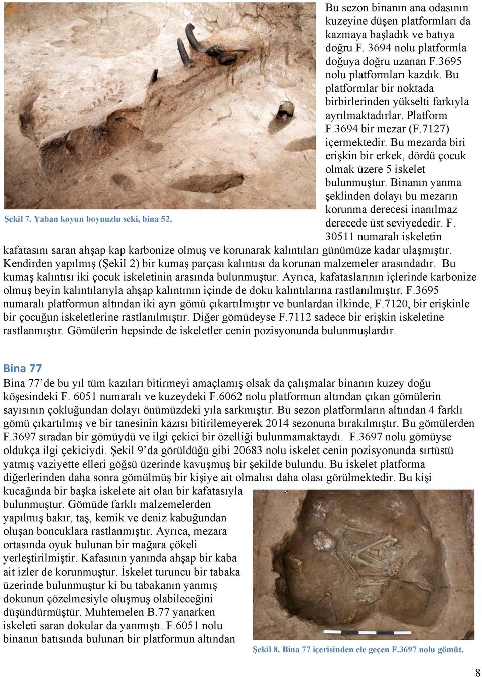 Bu mezarda biri erişkin bir erkek, dördü çocuk olmak üzere 5 iskelet bulunmuştur. Binanın yanma şeklinden dolayı bu mezarın korunma derecesi inanılmaz Şekil 7. Yaban koyun boynuzlu seki, bina 52.