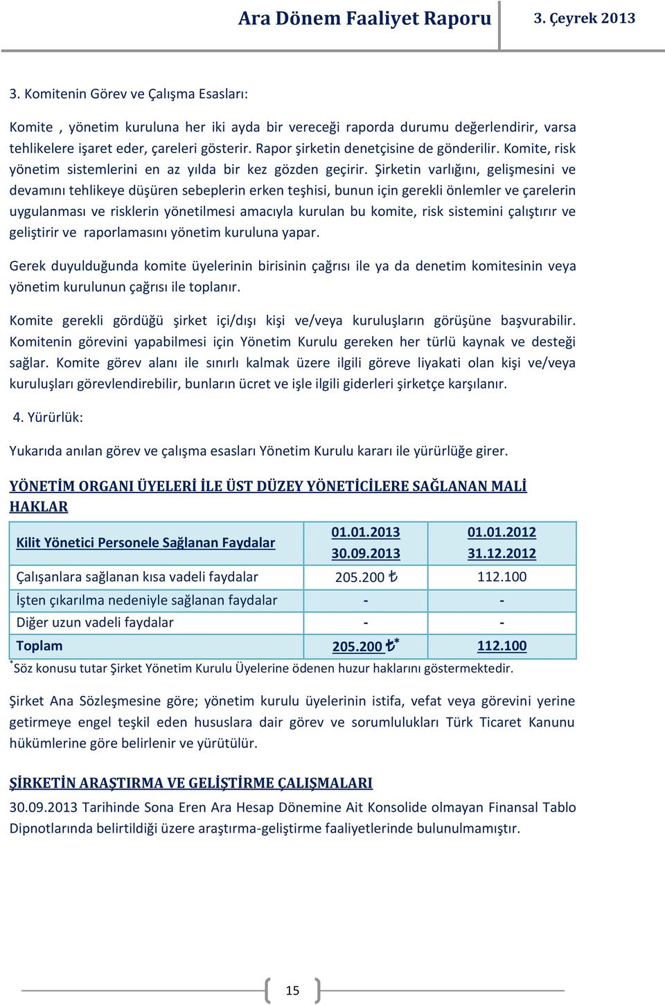 Şirketin varlığını, gelişmesini ve devamını tehlikeye düşüren sebeplerin erken teşhisi, bunun için gerekli önlemler ve çarelerin uygulanması ve risklerin yönetilmesi amacıyla kurulan bu komite, risk