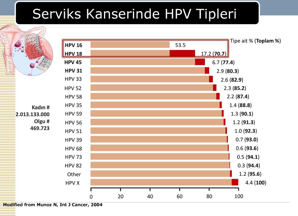 Other HPV X 53.5 Tipe ait % (Toplam %) 17.2 (70.7) 6.7 (77.4) 2.9 (80.3) 2.6 (82.9) 2.3 (85.2) 2.2 (87.4) 1.