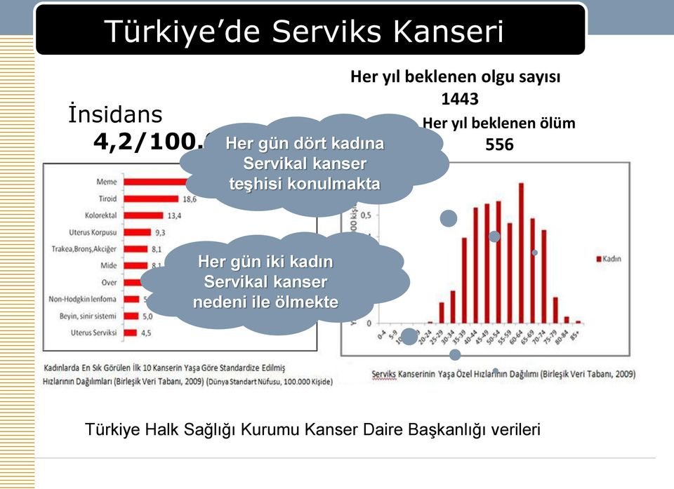 beklenen olgu sayısı 1443 Her yıl beklenen ölüm 556 Her gün iki