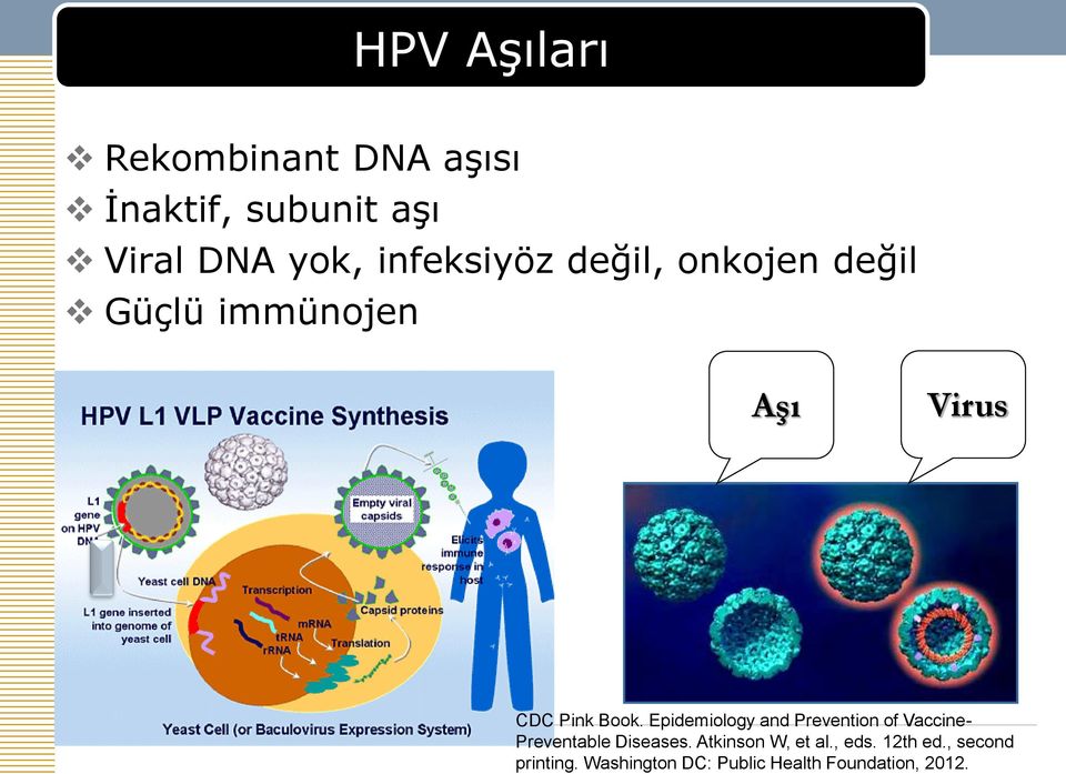 Epidemiology and Prevention of Vaccine- Preventable Diseases.