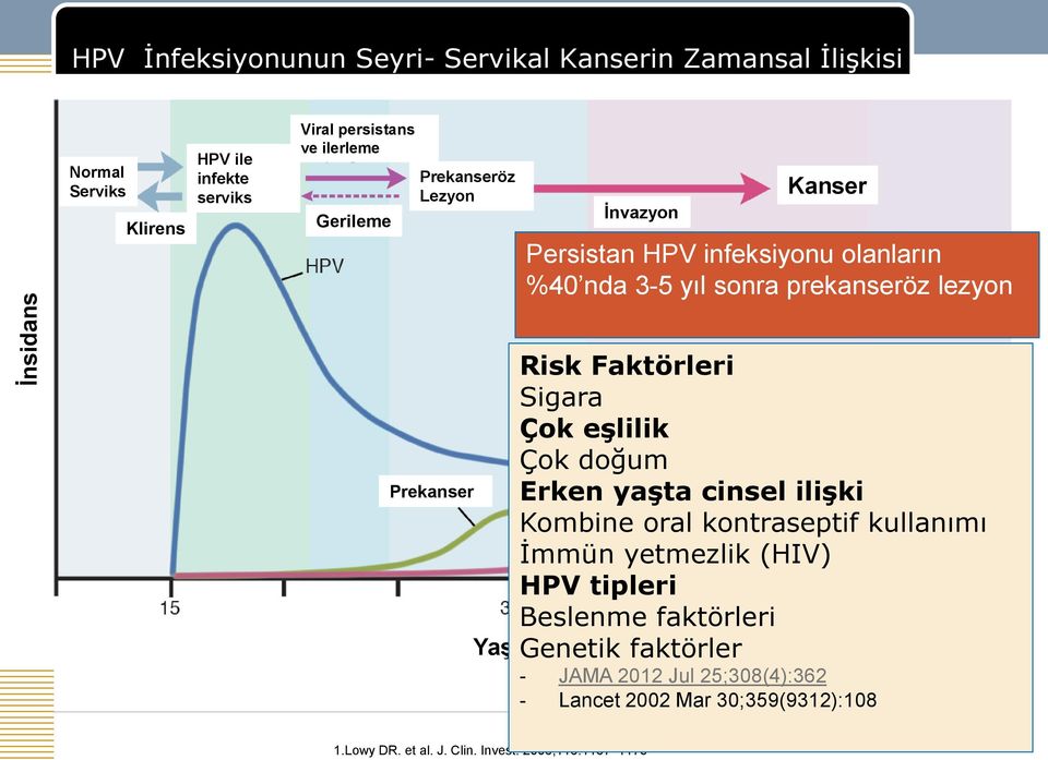 Sigara Çok eşlilik Çok doğum Erken yaşta Kanser cinsel ilişki Kombine oral kontraseptif kullanımı İmmün yetmezlik (HIV) HPV tipleri Beslenme