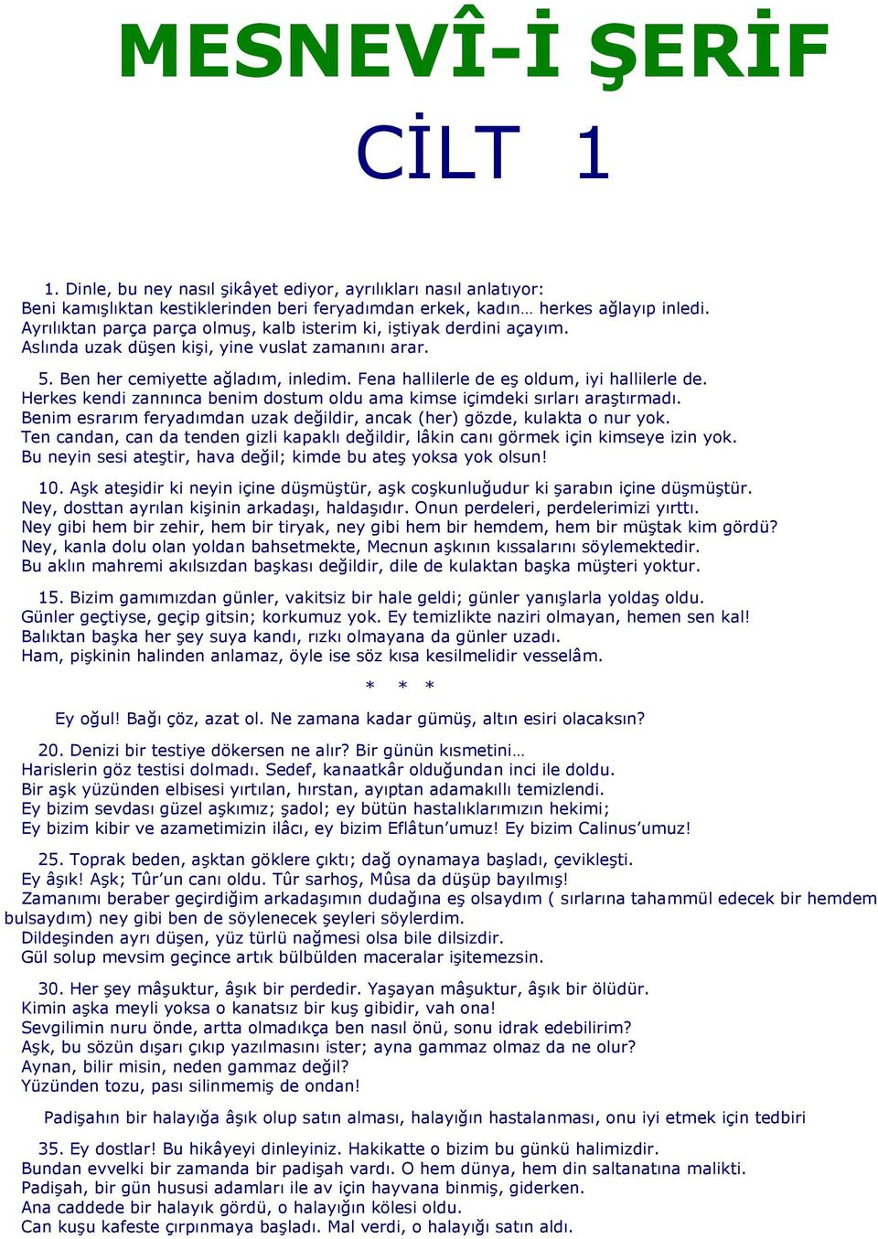 Fena hallilerle de eş oldum, iyi hallilerle de. Herkes kendi zannınca benim dostum oldu ama kimse içimdeki sırları araştırmadı.