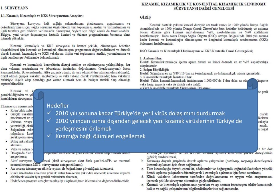 dışarıdan gelecek yeni kızamık virüslerinin