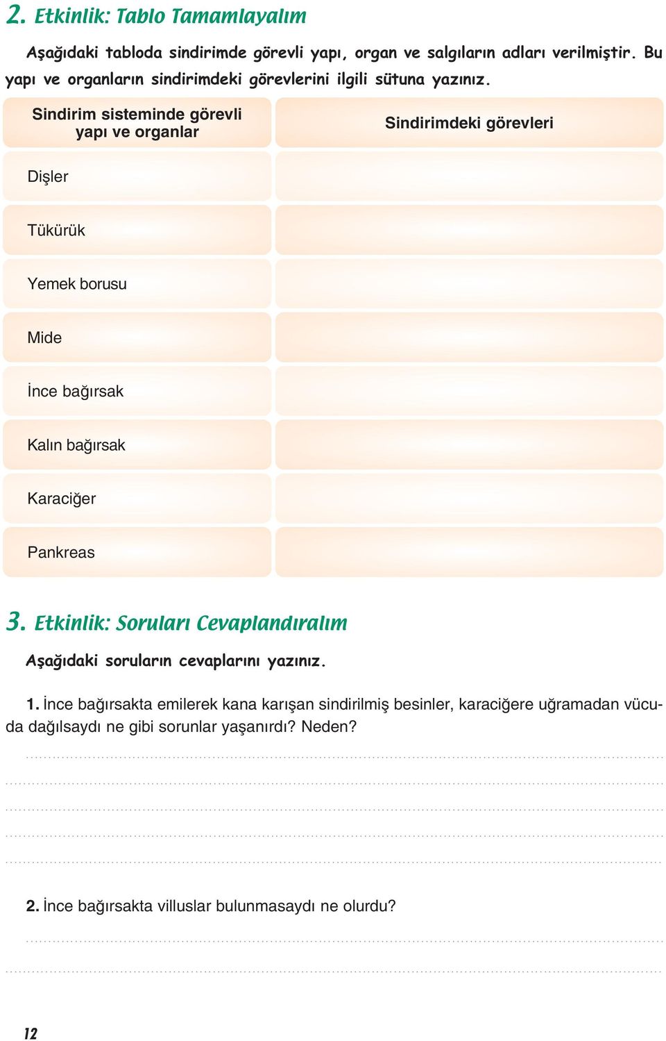 Sindirim sisteminde görevli yap ve organlar Sindirimdeki görevleri Difller Tükürük Yemek borusu Mide nce ba rsak Kal n ba rsak Karaci er Pankreas 3.