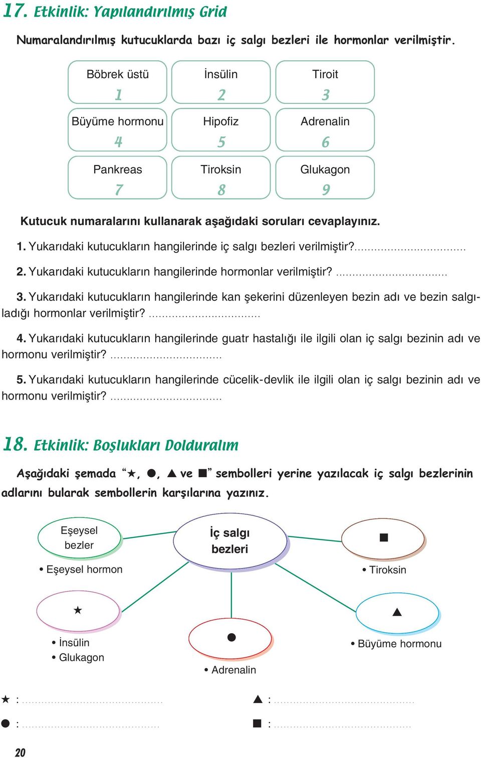 ... 2. Yukar daki kutucuklar n hangilerinde hormonlar verilmifltir?... 3. Yukar daki kutucuklar n hangilerinde kan flekerini düzenleyen bezin ad ve bezin salg - lad hormonlar verilmifltir?... 4.