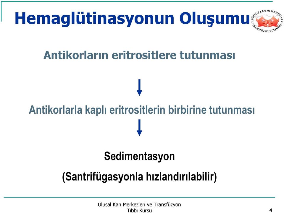 eritrositlerin birbirine tutunması