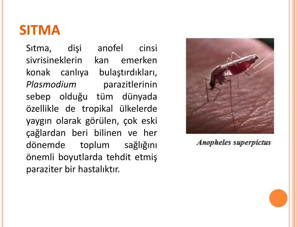 de tropikal ülkelerde yaygın olarak görülen, çok eski çağlardan beri bilinen ve