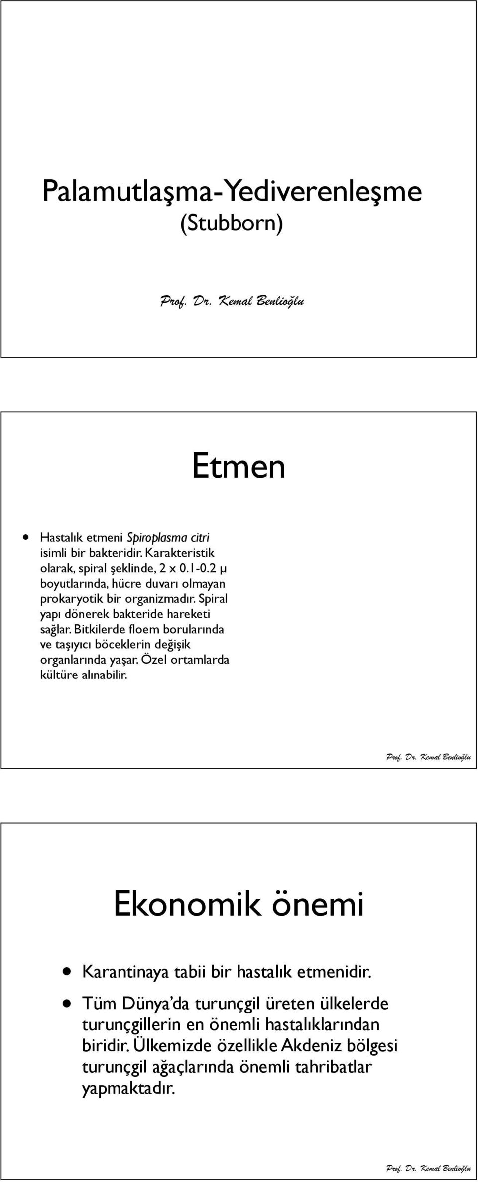 Bitkilerde floem borularında ve taşıyıcı böceklerin değişik organlarında yaşar. Özel ortamlarda kültüre alınabilir.