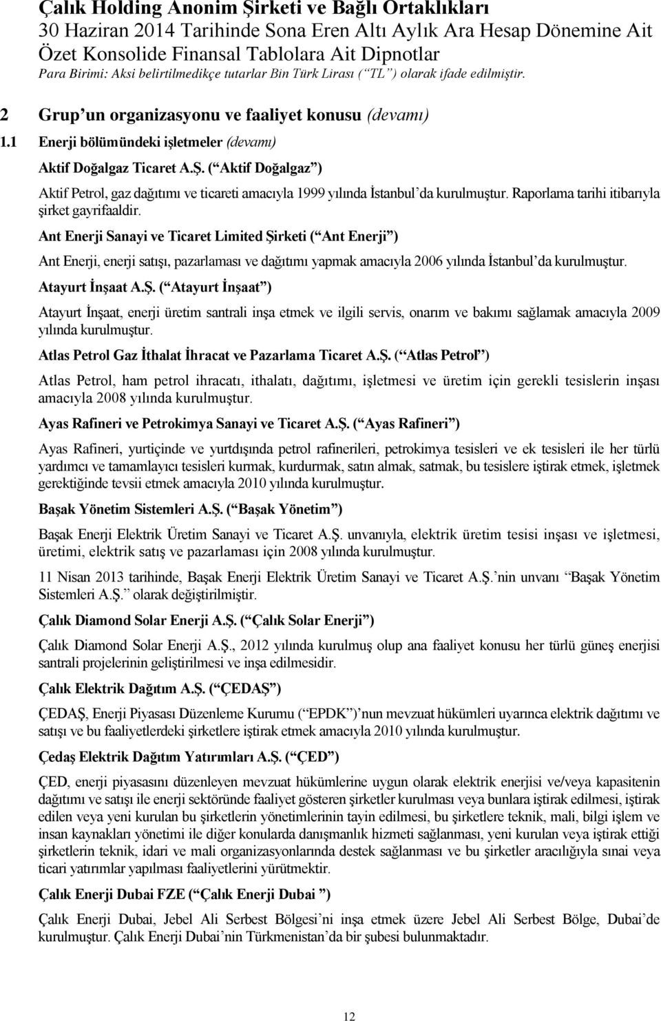 Ant Enerji Sanayi ve Ticaret Limited Şirketi ( Ant Enerji ) Ant Enerji, enerji satışı, pazarlaması ve dağıtımı yapmak amacıyla 2006 yılında İstanbul da kurulmuştur. Atayurt İnşaat A.Ş. ( Atayurt İnşaat ) Atayurt İnşaat, enerji üretim santrali inşa etmek ve ilgili servis, onarım ve bakımı sağlamak amacıyla 2009 yılında kurulmuştur.