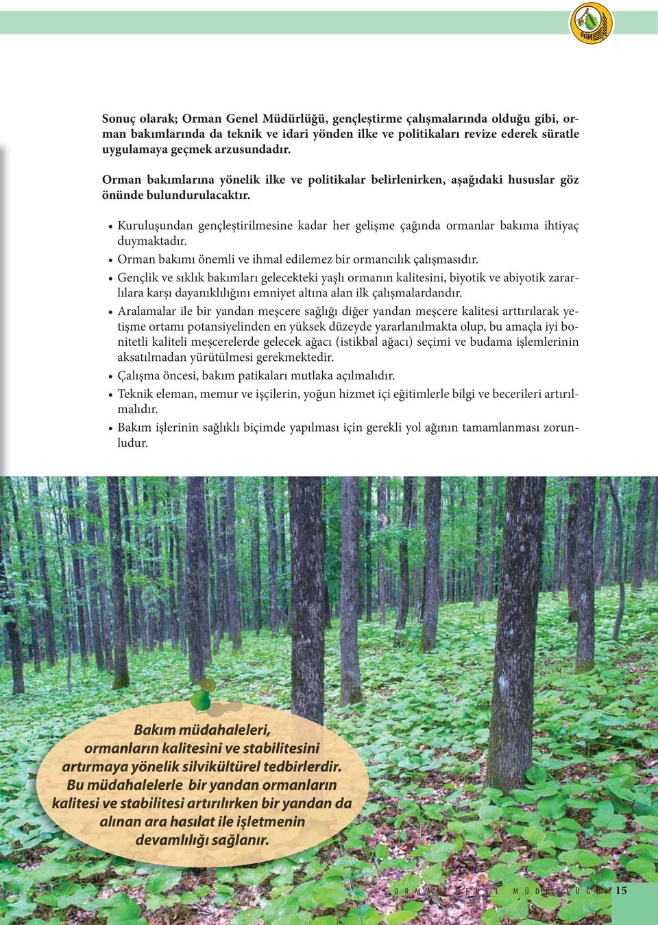 Kuruluşundan gençleştirilmesine kadar her gelişme çağında ormanlar bakıma ihtiyaç duymaktadır. Orman bakımı önemli ve ihmal edilemez bir ormancılık çalışmasıdır.