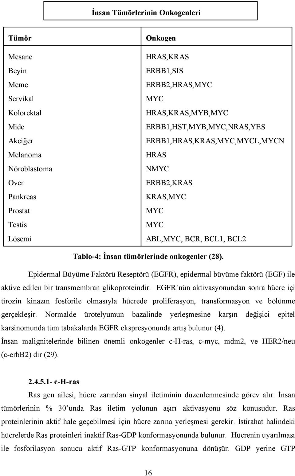 Epidermal Büyüme Faktörü Reseptörü (EGFR), epidermal büyüme faktörü (EGF) ile aktive edilen bir transmembran glikoproteindir.