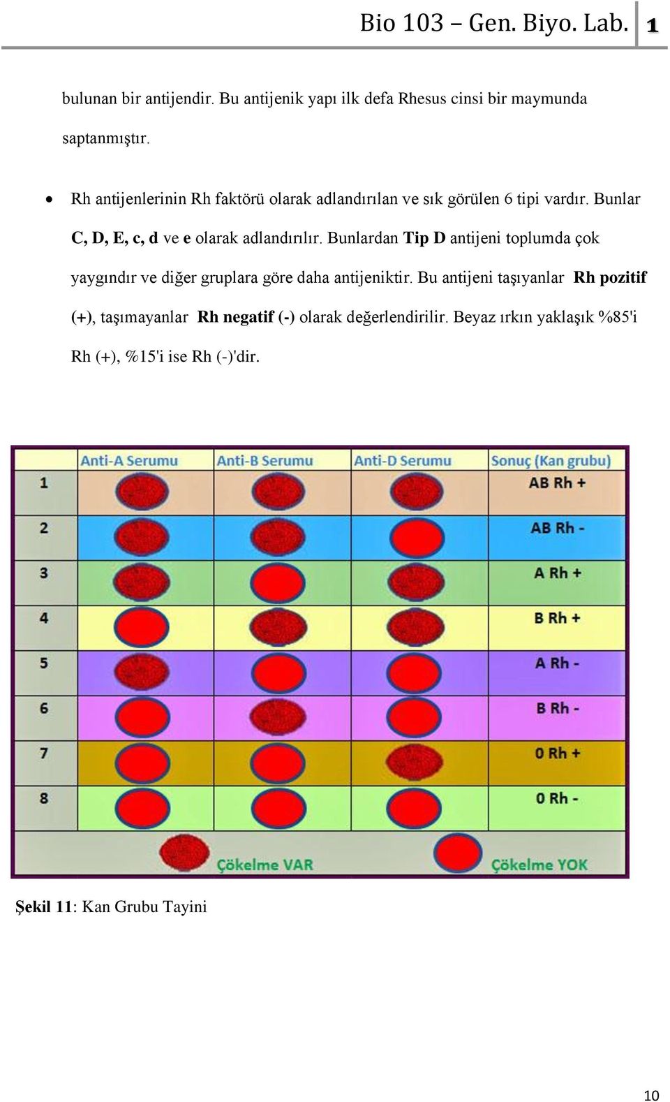 Bunlar C, D, E, c, d ve e olarak adlandırılır.