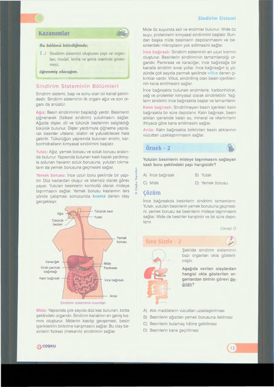 Besinlerin çiğnenerek (fiziksel sindirim) yutulmasını sağlar. Ağızda dişler, dil ve tükürük bezlerinin salgıladığı tükürük bulunur.