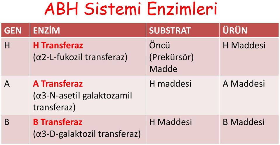 galaktozamil transferaz) B Transferaz (α3-d-galaktozil