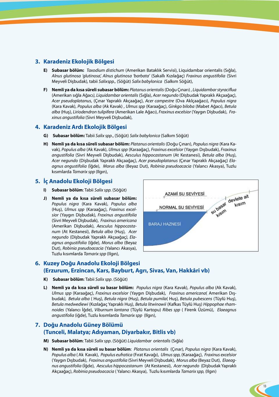 , (Söğüt) Salix babylonica (Salkım Söğüt), F) Nemli ya da kısa süreli subasar bölüm: Platanus orientalis (Doğu Çınarı), Liquidambar styraciflua (Amerikan sığla Ağacı), Liquidambar orientalis (Sığla),