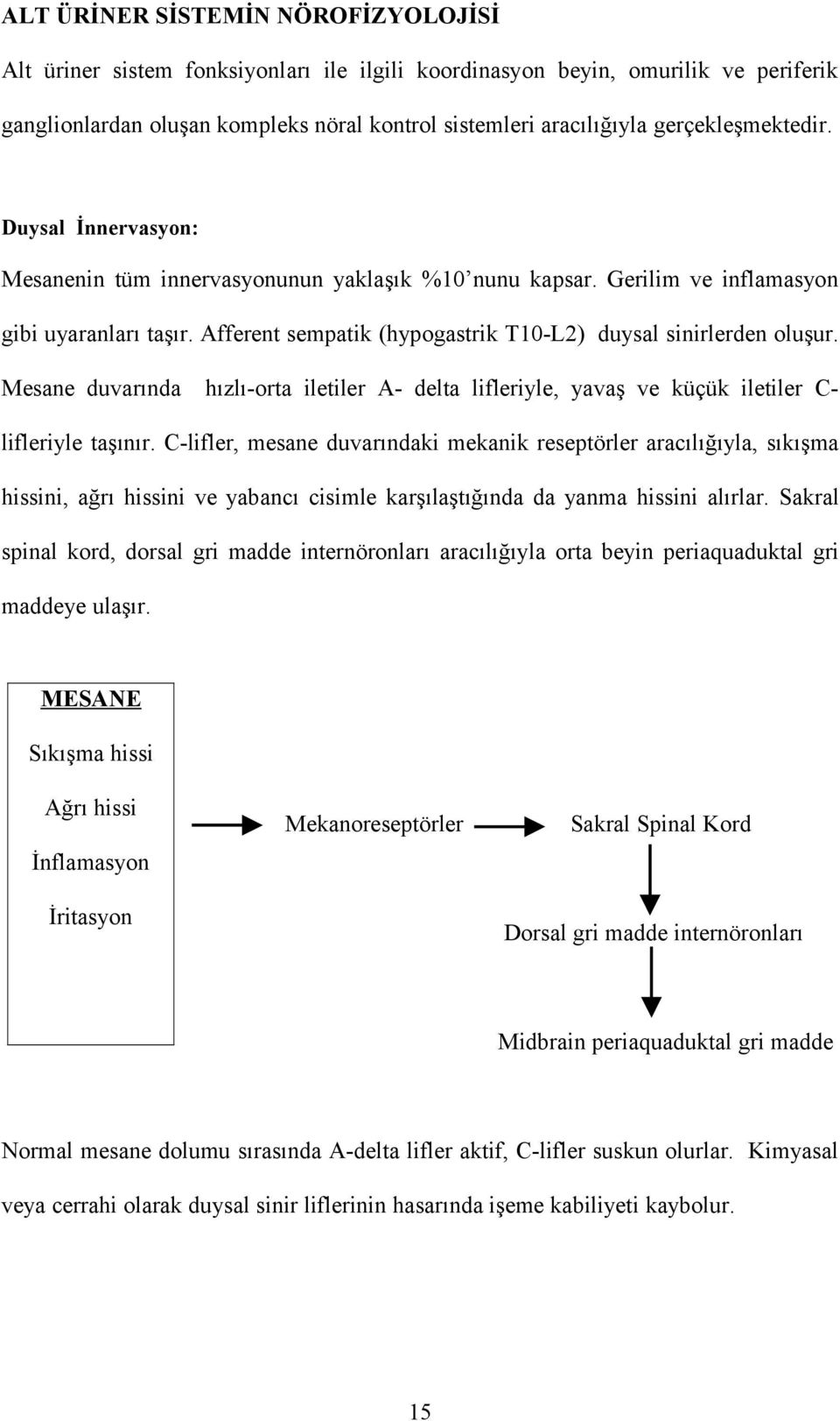 Afferent sempatik (hypogastrik T10-L2) duysal sinirlerden oluşur. Mesane duvarında hızlı-orta iletiler A- delta lifleriyle, yavaş ve küçük iletiler C- lifleriyle taşınır.