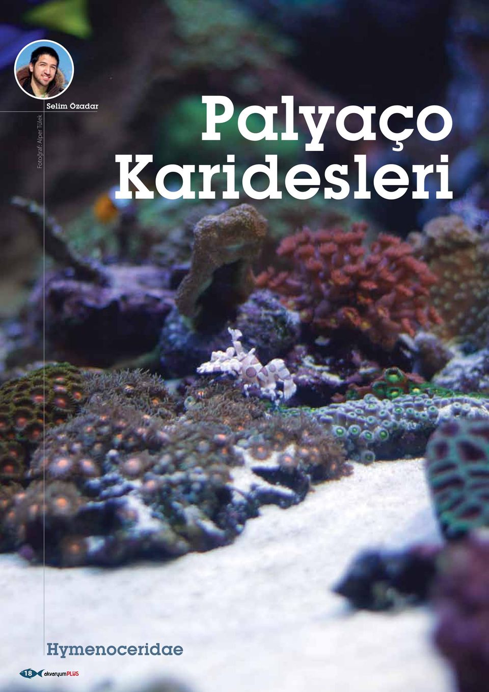 Özadar Palyaço