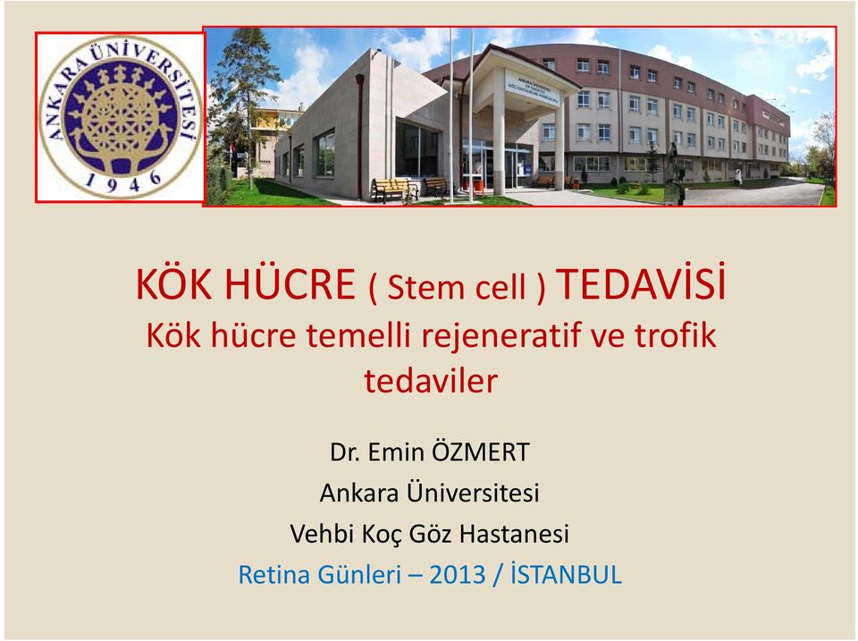 Emin ÖZMERT Ankara Üniversitesi Vehbi Koç