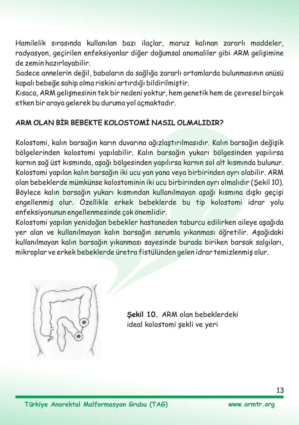 Kýsaca, ARM geliþmesinin tek bir nedeni yoktur, hem genetik hem de çevresel birçok etken bir araya gelerek bu duruma yol açmaktadýr. ARM OLAN BÝR BEBEKTE KOLOSTOMÝ NASIL OLMALIDIR?