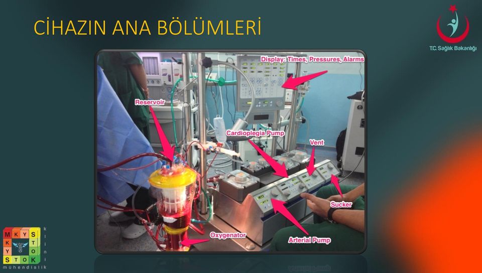 BÖLÜMLERİ