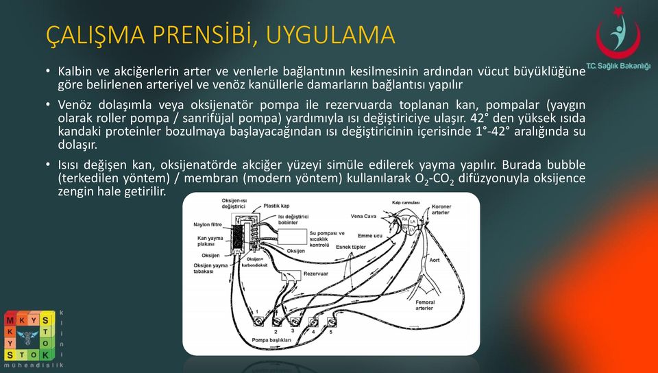 değiştiriciye ulaşır. 42 den yüksek ısıda kandaki proteinler bozulmaya başlayacağından ısı değiştiricinin içerisinde 1-42 aralığında su dolaşır.