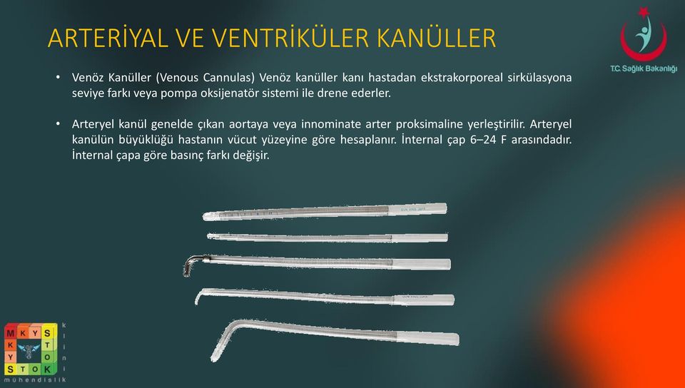 Arteryel kanül genelde çıkan aortaya veya innominate arter proksimaline yerleştirilir.