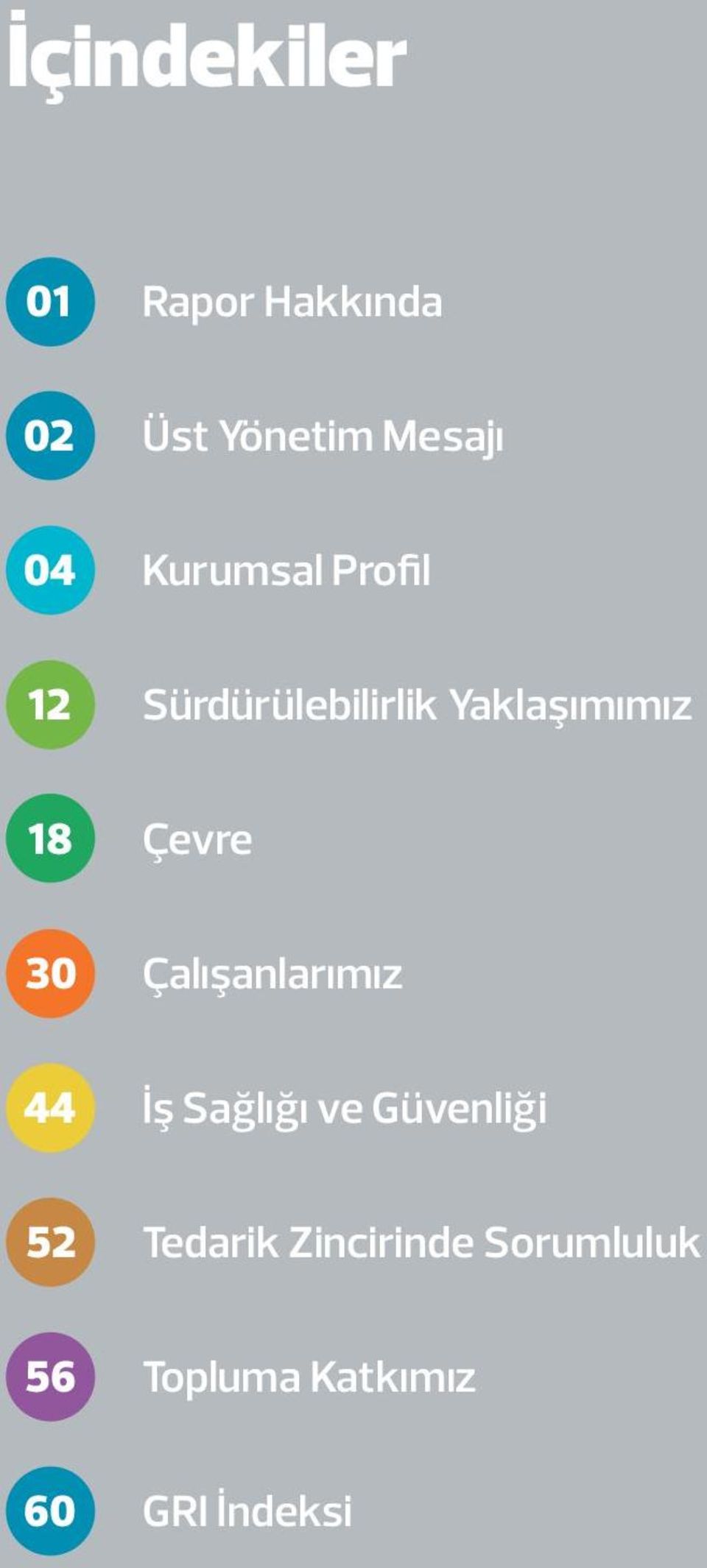 Çevre 3 Çalışanlarımız 44 İş Sağlığı ve Güvenliği 52