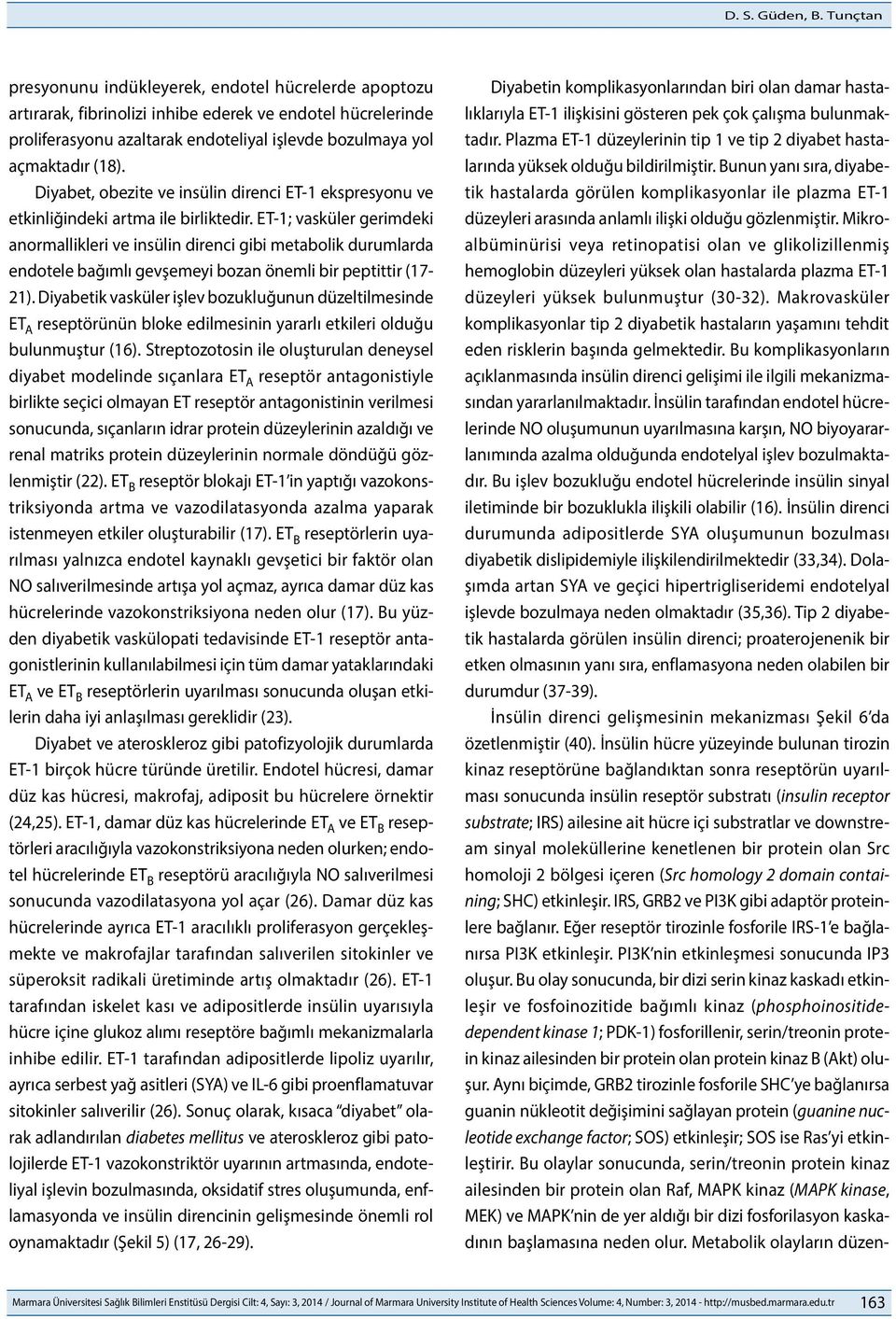 Diyabet, obezite ve insülin direnci ET-1 ekspresyonu ve etkinliğindeki artma ile birliktedir.