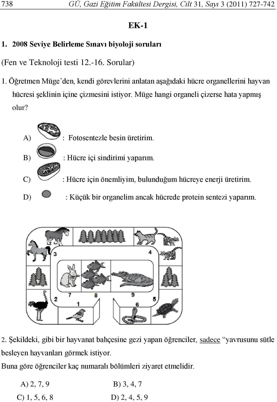 A) : Fotosentezle besin üretirim. B) : Hücre içi sindirimi yaparım. C) : Hücre için önemliyim, bulunduğum hücreye enerji üretirim.