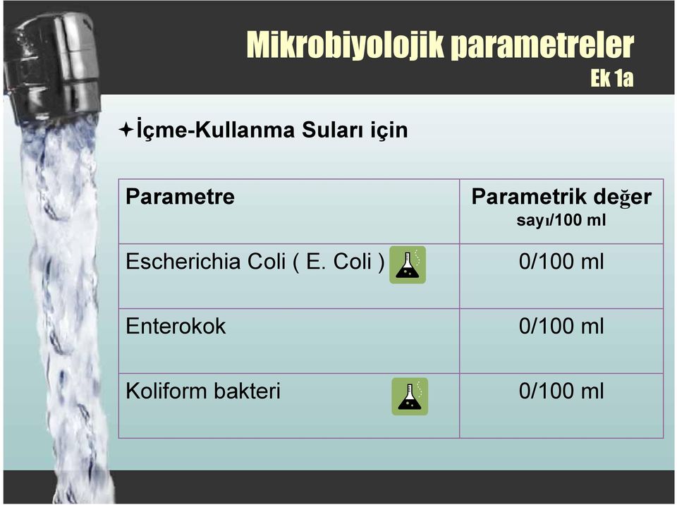 Escherichia Coli ( E.