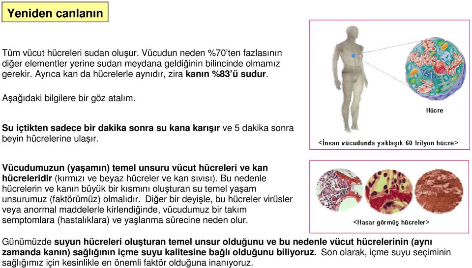 Vücudumuzun (yaşamın) temel unsuru vücut hücreleri ve kan hücreleridir (kırmızı ve beyaz hücreler ve kan sıvısı).