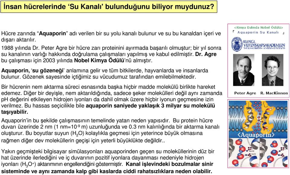 Agre bu çalışması için 2003 yılında Nobel Kimya Ödülü nü almıştır. Aquaporin, su gözeneği anlamına gelir ve tüm bitkilerde, hayvanlarda ve insanlarda bulunur.