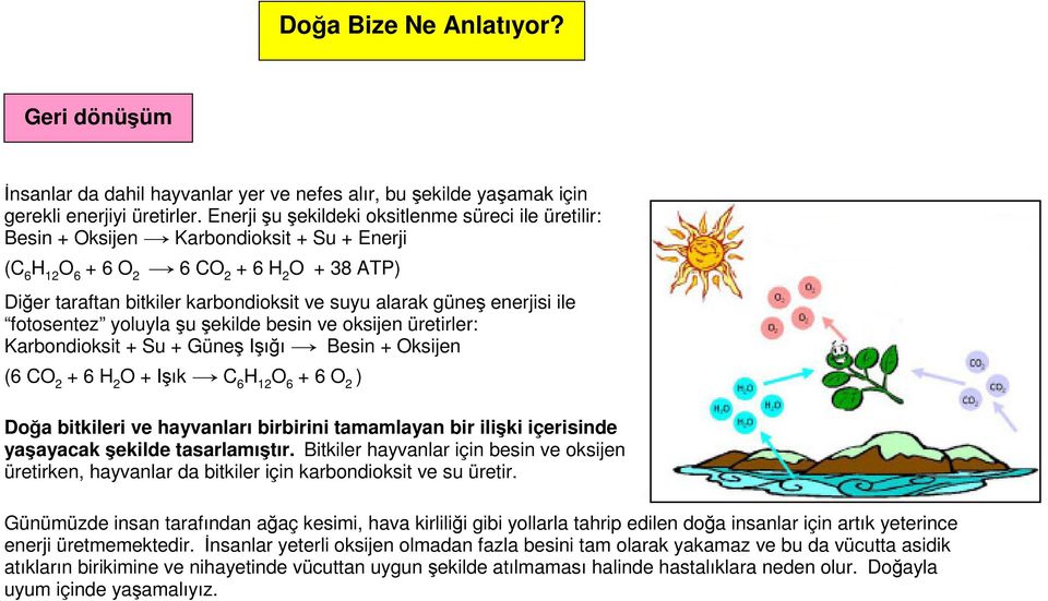 güneş enerjisi ile fotosentez yoluyla şu şekilde besin ve oksijen üretirler: Karbondioksit + Su + Güneş Işığı Besin + Oksijen (6 CO 2 + 6 H 2 O + Işık C 6 H 12 O 6 + 6 O 2 ) Doğa bitkileri ve