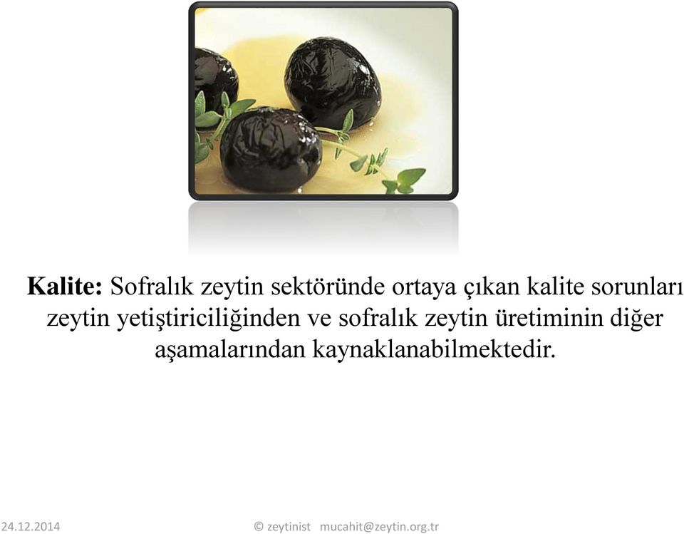 yetiştiriciliğinden ve sofralık zeytin