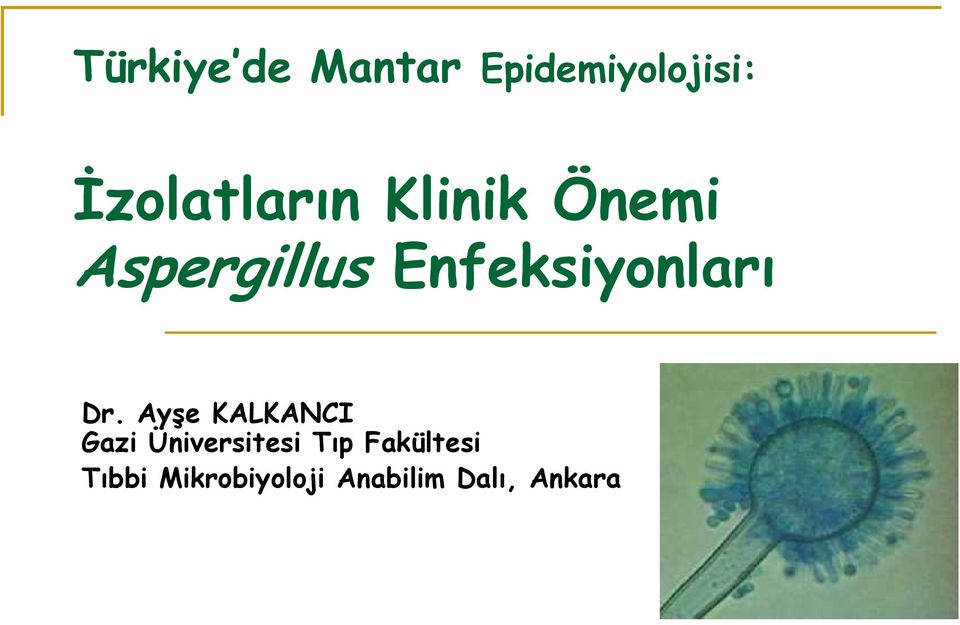 Enfeksiyonları Dr.