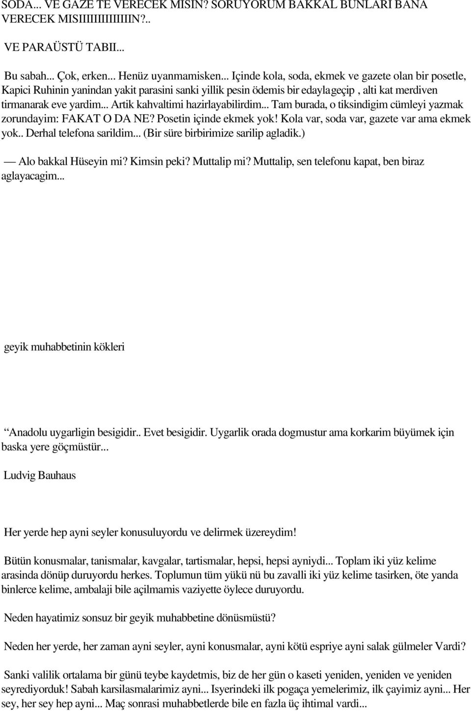 .. Artik kahvaltimi hazirlayabilirdim... Tam burada, o tiksindigim cümleyi yazmak zorundayim: FAKAT O DA NE? Posetin içinde ekmek yok! Kola var, soda var, gazete var ama ekmek yok.