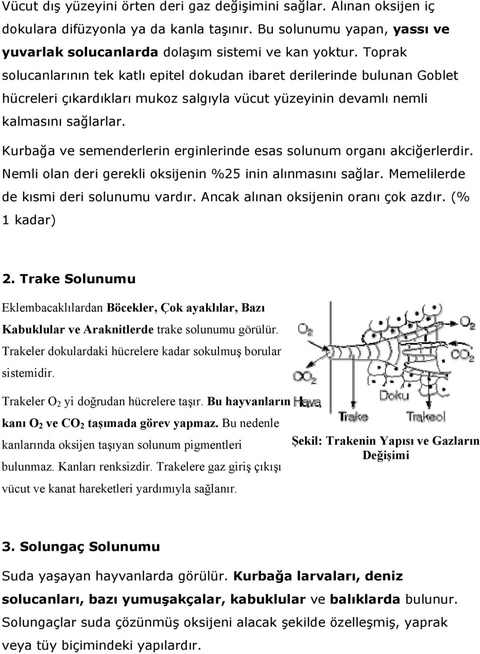 Kurbağa ve semenderlerin erginlerinde esas solunum organı akciğerlerdir. Nemli olan deri gerekli oksijenin %25 inin alınmasını sağlar. Memelilerde de kısmi deri solunumu vardır.