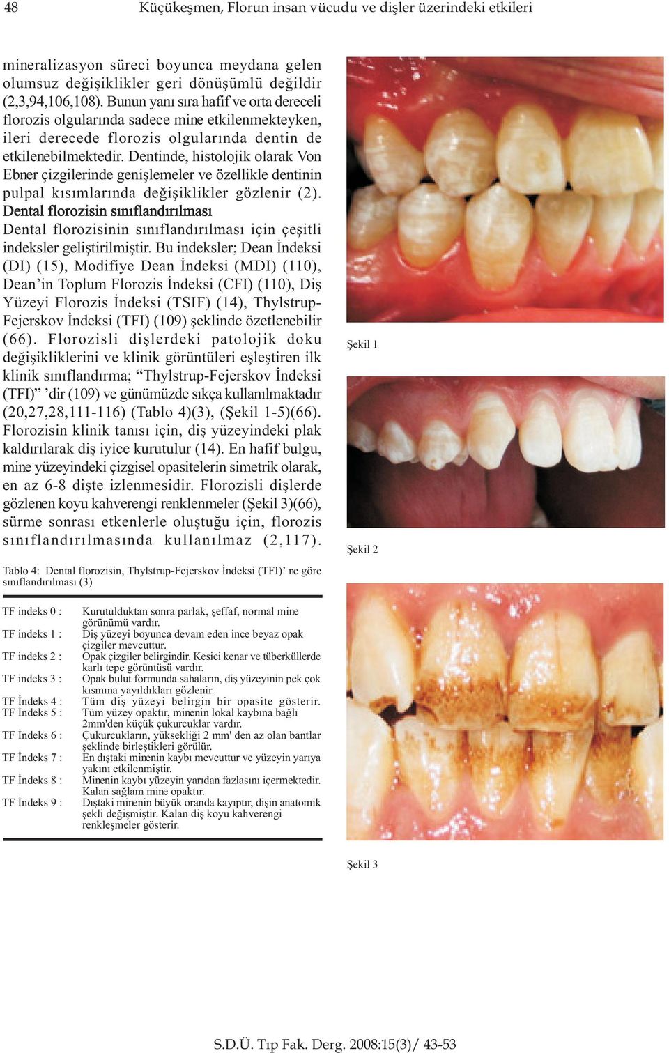 Dentinde, histolojik olarak Von Ebner çizgilerinde geniþlemeler ve özellikle dentinin pulpal kýsýmlarýnda deðiþiklikler gözlenir (2).
