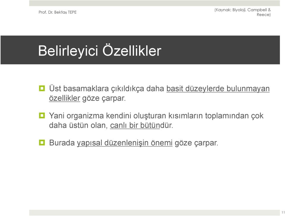 Yani organizma kendini oluşturan kısımların toplamından çok