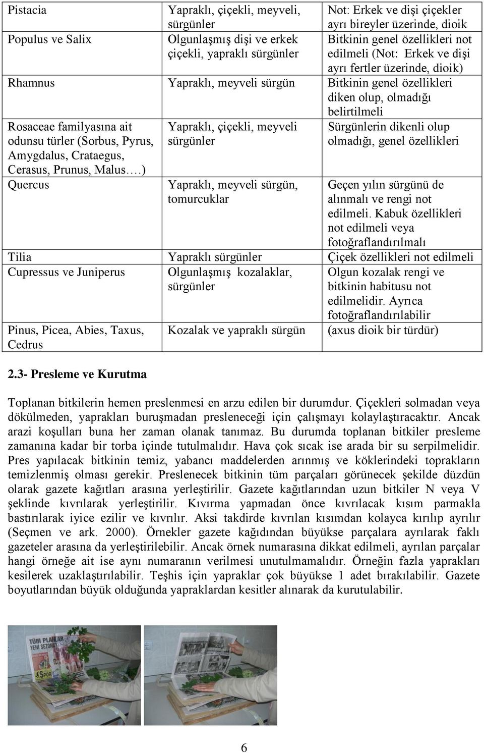 odunsu türler (Sorbus, Pyrus, Amygdalus, Crataegus, Cerasus, Prunus, Malus.