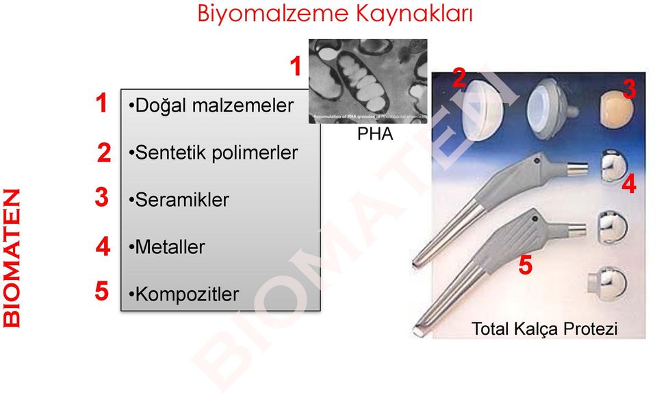 polimerler Seramikler Metaller