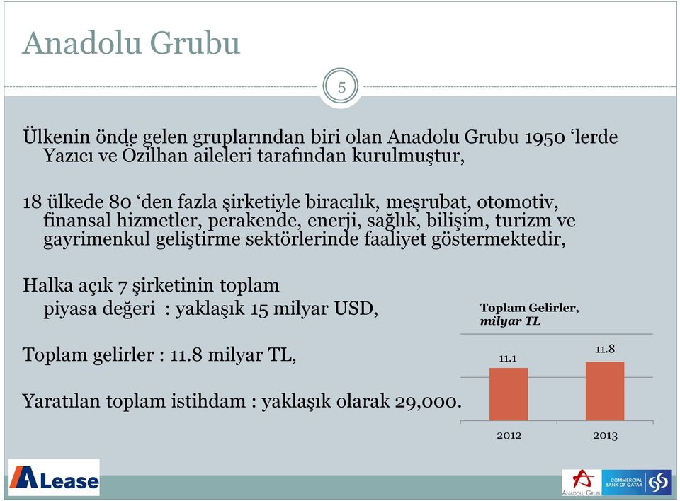 bilişim, turizm ve gayrimenkul geliştirme sektörlerinde faaliyet göstermektedir, Halka açık 7 şirketinin toplam piyasa değeri :