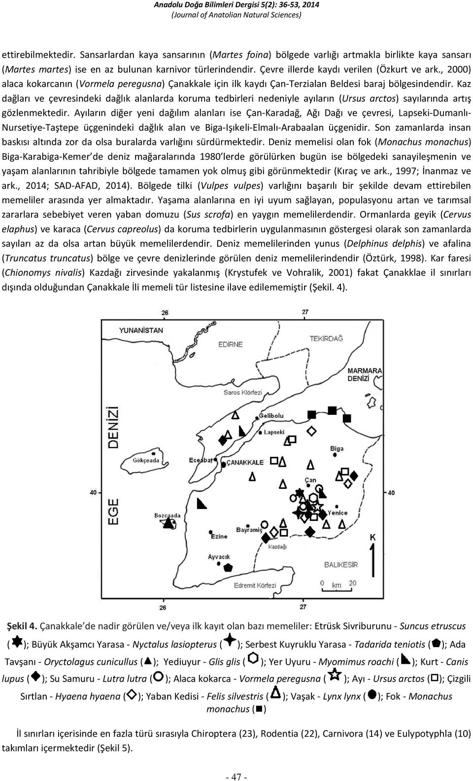 Kaz dağları ve çevresindeki dağlık alanlarda koruma tedbirleri nedeniyle ayıların (Ursus arctos) sayılarında artış gözlenmektedir.