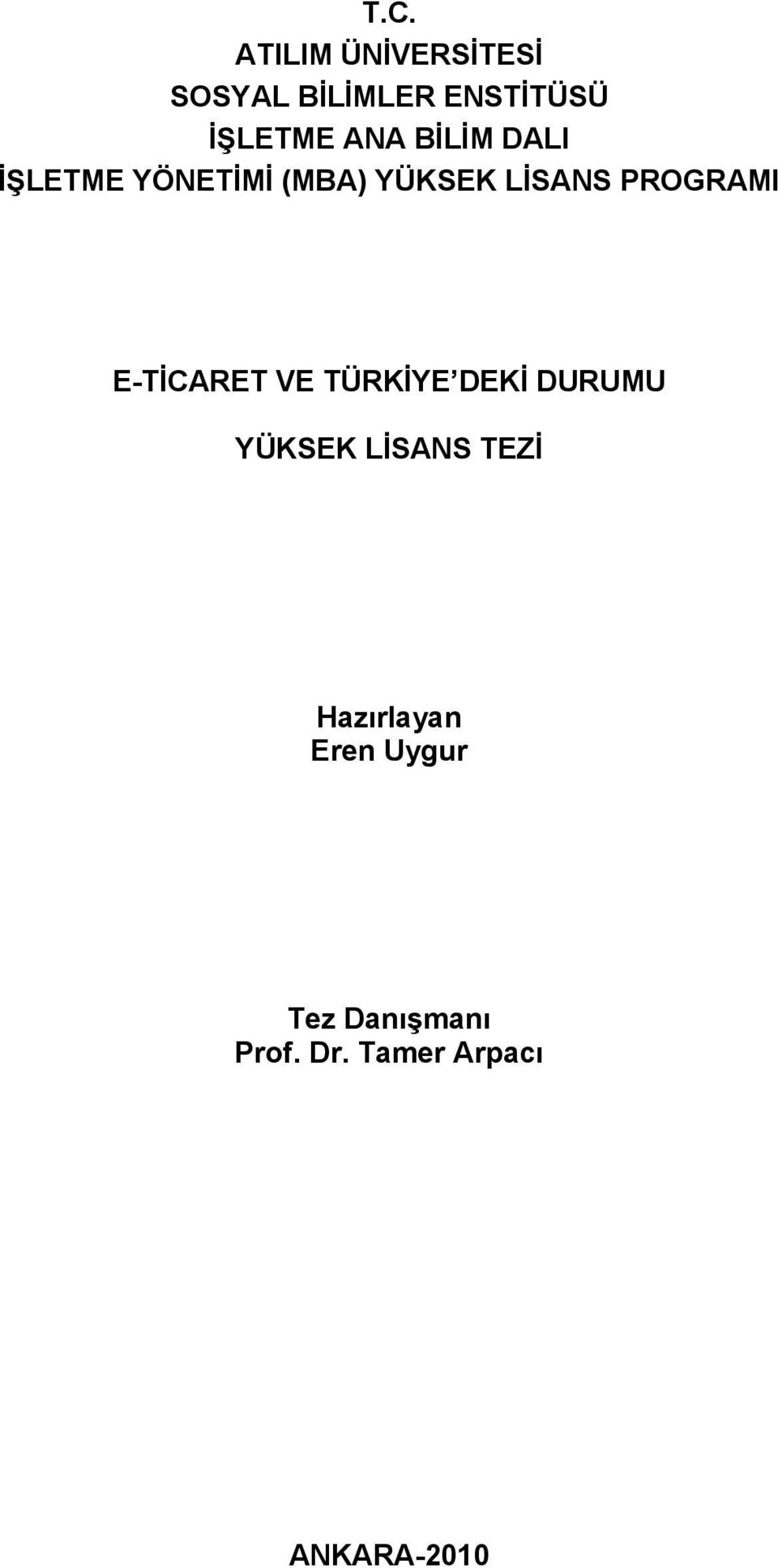 E-TİCARET VE TÜRKİYE DEKİ DURUMU YÜKSEK LİSANS TEZİ