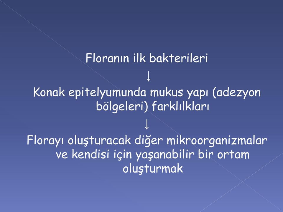 Florayı oluşturacak diğer mikroorganizmalar