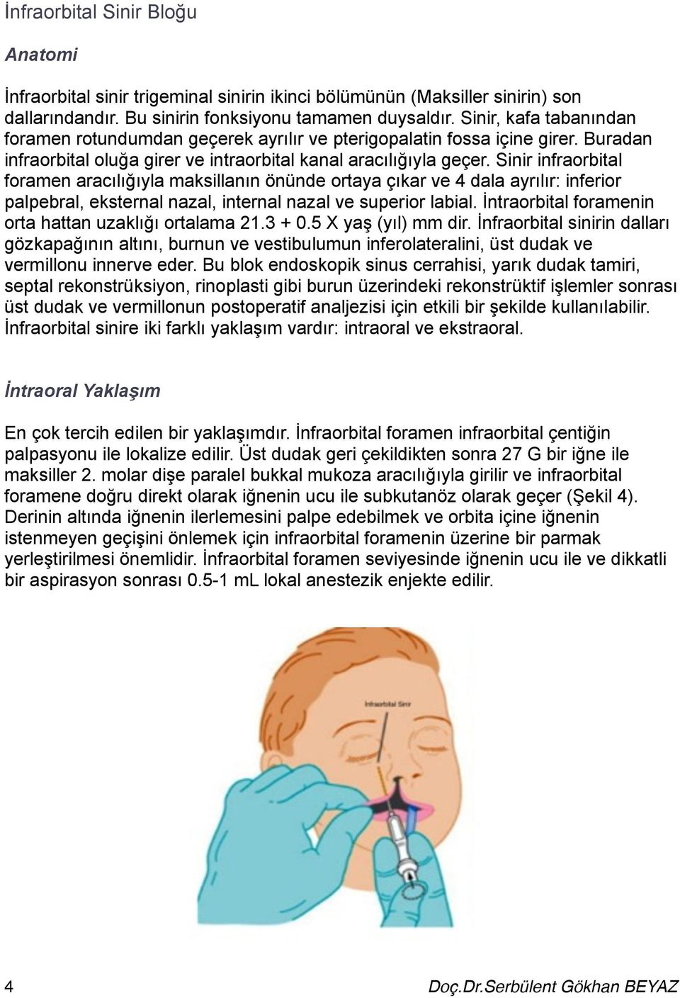 Sinir infraorbital foramen aracılığıyla maksillanın önünde ortaya çıkar ve 4 dala ayrılır: inferior palpebral, eksternal nazal, internal nazal ve superior labial.