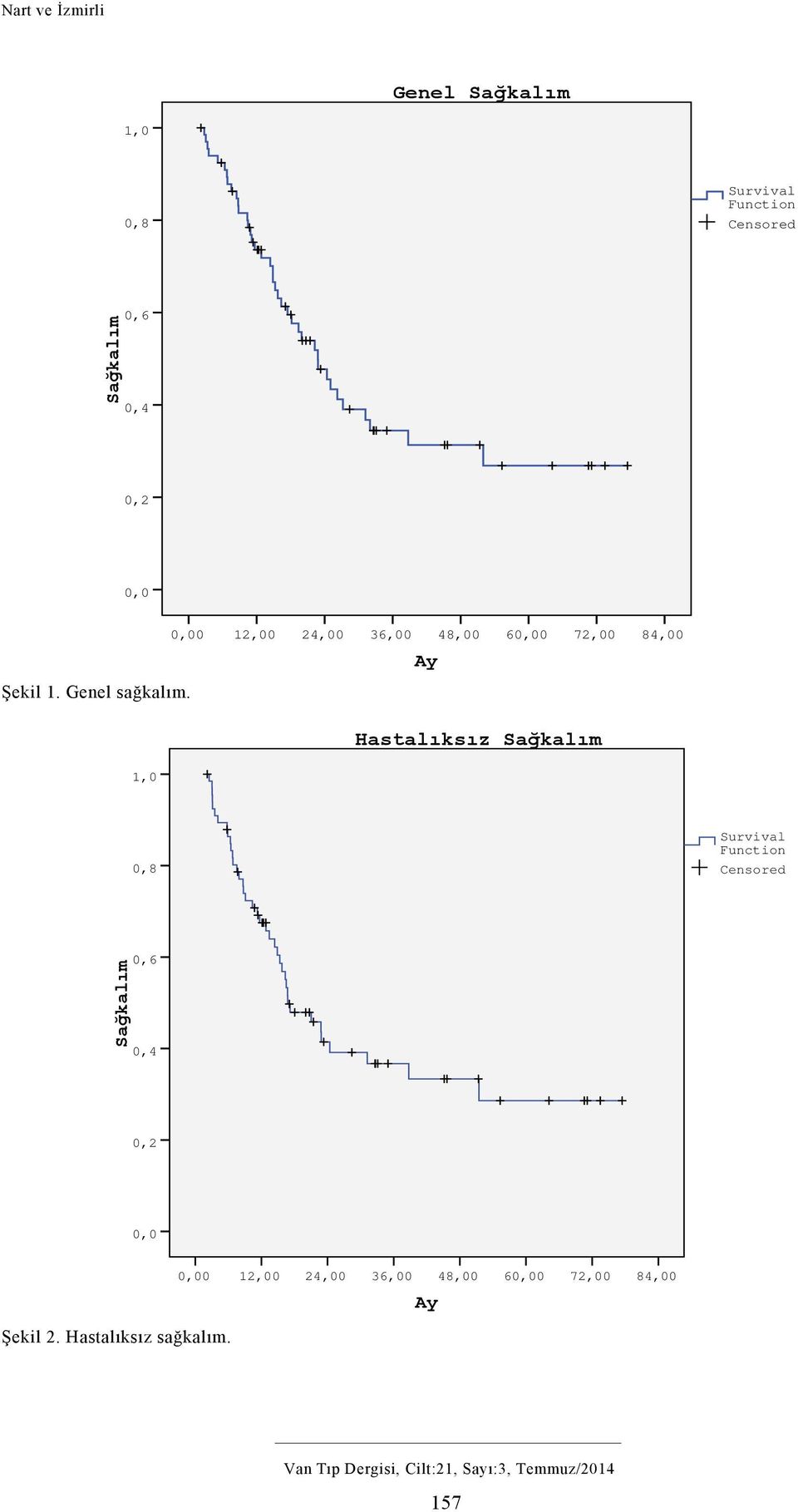 Hastalıksız Sağkalım,0 0,8 Survival Function Censored Sağkalım 0,6 0, 0, 0,0