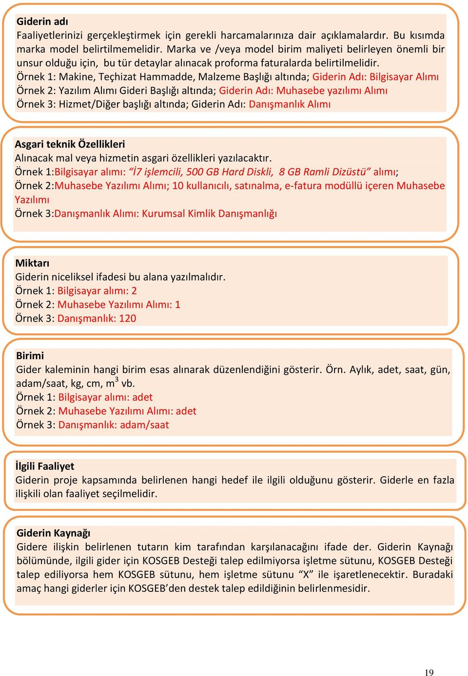 Örnek 1: Makine, Teçhizat Hammadde, Malzeme Başlığı altında; Giderin Adı: Bilgisayar Alımı Örnek 2: Yazılım Alımı Gideri Başlığı altında; Giderin Adı: Muhasebe yazılımı Alımı Örnek 3: Hizmet/Diğer