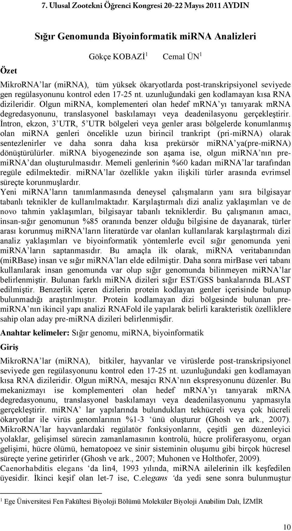 İntron, ekzon, 3 UTR, 5 UTR bölgeleri veya genler arası bölgelerde konumlanmış olan mirna genleri öncelikle uzun birincil trankript (pri-mirna) olarak sentezlenirler ve daha sonra daha kısa prekürsör